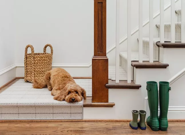 tailored-to-fit Tailored to fit Stair Runners | Carpet Specialists